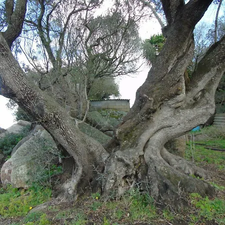 Casa Eleonora Holiday home
